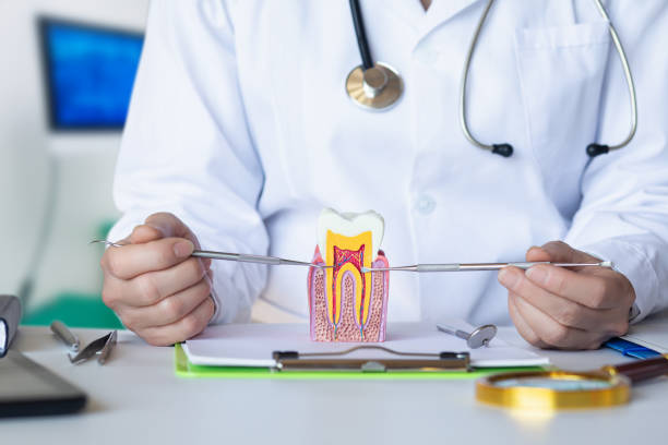 Best Weekend Emergency Dentist in Stanley, ND
